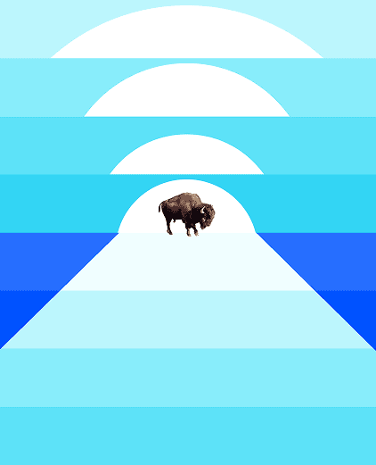 Sunset of Bison Trails